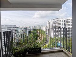 Blk 348A Adora Green (Yishun), HDB 3 Rooms #408750041